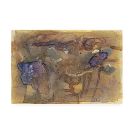 Trademark Fine Art Renee W. Stramel 'Violet Inclusion I' Canvas Art, 30x47 WAG10657-C3047GG
